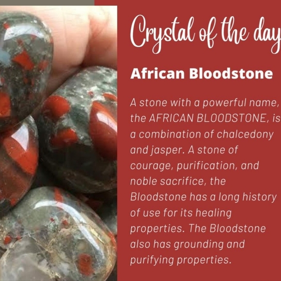 African Bloodstone Crystal Stretch Bracelet - Picture 13 of 14